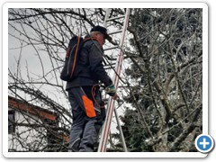 Baumschneidekurs 2023_03