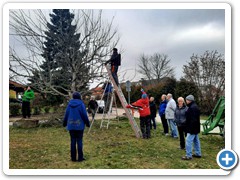 Baumschneidekurs 2023_04