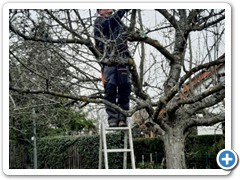 Baumschneidekurs 2023_05